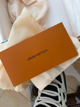 Louis Vuitton Skate Blu e Bianche