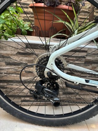 Bicicleta Orbea BTT