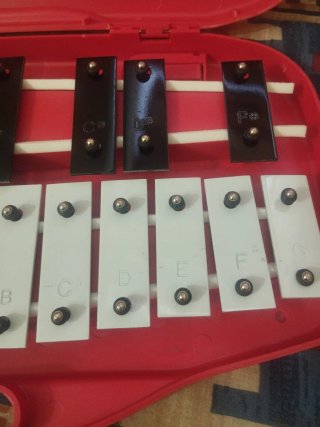 Xilófono infantil con maletín y baquetas
