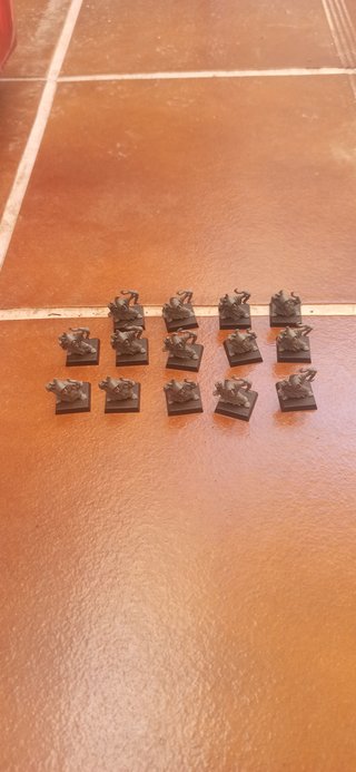 Warhammer Goblins Nocturnos VII