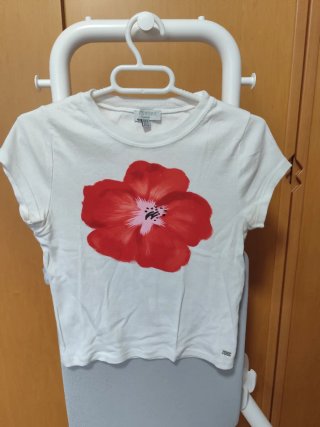 Camiseta Pull&Bear blanca flor roja Talla S