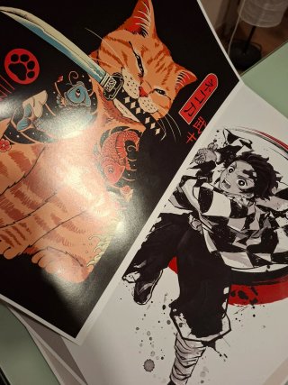 Poster di vari anime e videogiochi