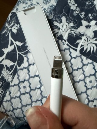 Apple Pencil 1ª Gen