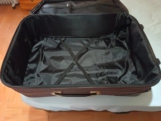 Maleta de viaje con ruedas