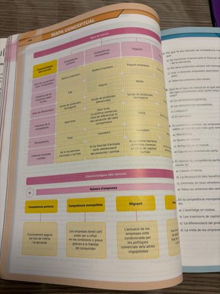 Economia 1r Batxillerat - Mediterrània