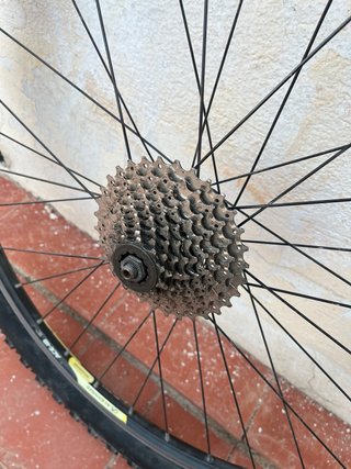 Rueda Bicicleta 26