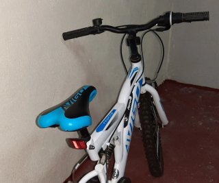 Bicicleta Montaña Infantil Avigo 20 Pollici