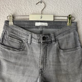 Bermuda Mango