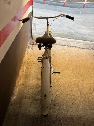 Bicicleta blanca estilo paseo