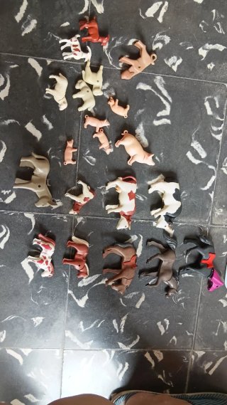 Lote Playmobil Zoo