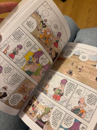 Manga dragon ball
