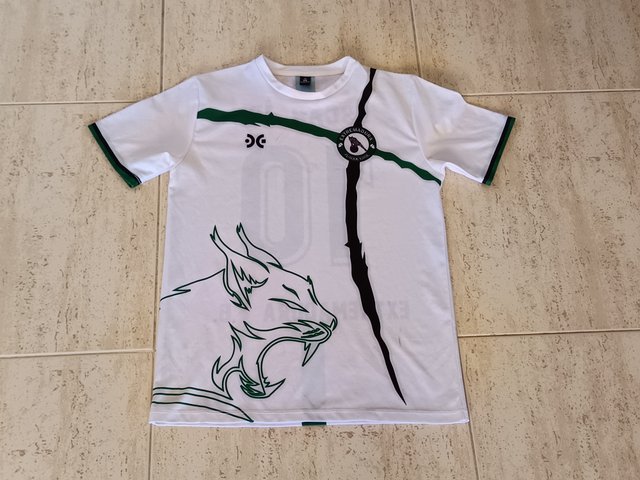 Camiseta Extremadura JR 10