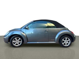 Volkswagen New Beetle 1.9 TDI 105cv Cabriolet