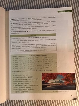 Puntal 3. Llengua catalana i Literatura 3 ESO