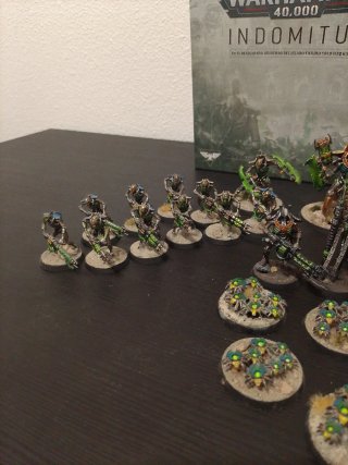 Caja Indomitus Necrones Pintados
