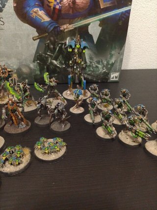 Caja Indomitus Necrones Pintados
