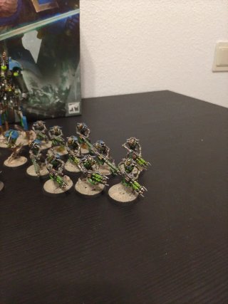 Caja Indomitus Necrones Pintados