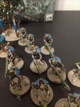 Caja Indomitus Necrones Pintados