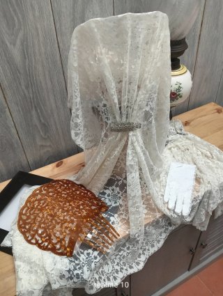 Mantilla de encaje beige/blanco y peineta ,guantes