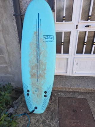 Tabla surf The Bug Ocean + Earth
