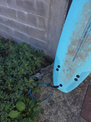 Tabla surf The Bug Ocean + Earth