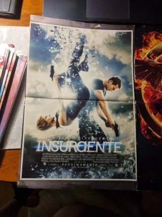 Póster Película Insurgente