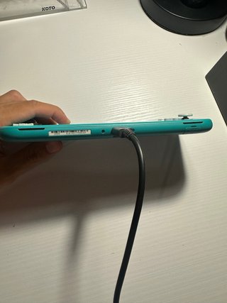Nintendo Switch Lite Seminueva