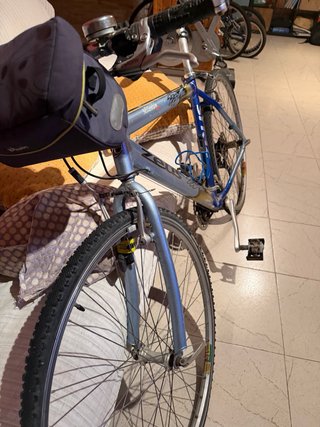 Bicicleta Zeus Híbrida