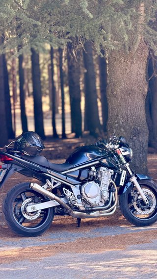 Suzuki Bandit 650 2007 Azul/Plata