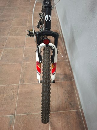 Bicicleta infantil DTB X-Treme 240