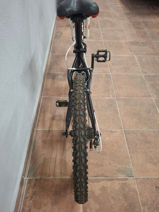Bicicleta infantil DTB X-Treme 240