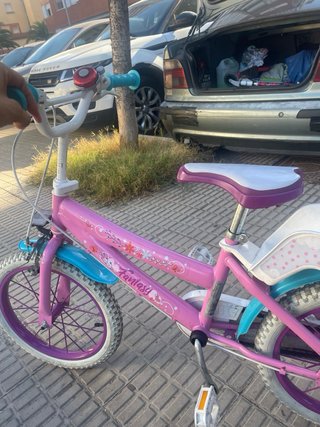 Bicicleta Infantil Fantasy