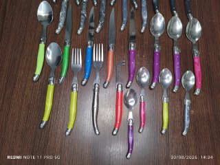 Lote Cubiertos Laguiole Multicolor