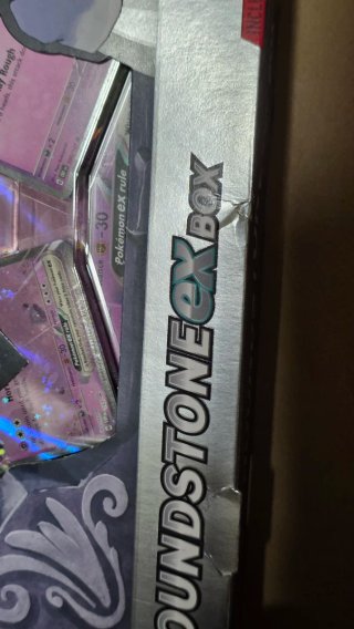 Caja Pokémon Houndstone EX
