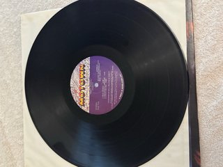 Vanity - Wild Animal LP 1984 Motown
