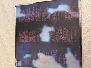 Vanity - Wild Animal LP 1984 Motown
