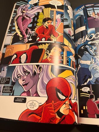 Cómic Spiderman y Gata Negra - Kevin Smith