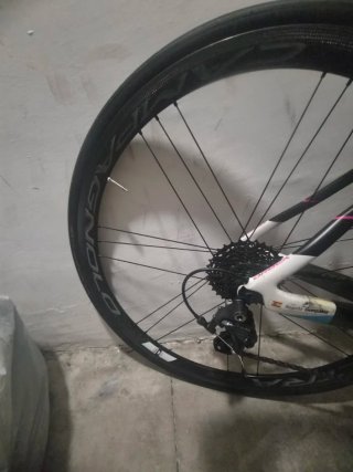 Bicicleta Orbea Orca