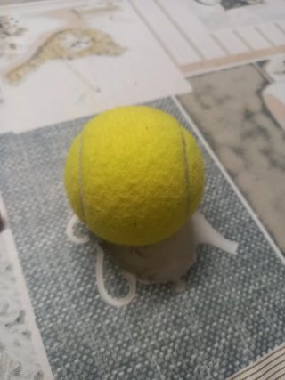 Pelota de tenis Adidas