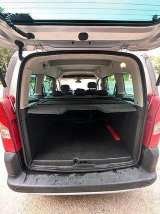 Citroen Berlingo 2009