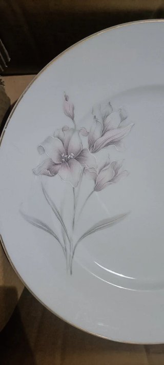 Elegante vajilla vintage Bidasoa de 50 piezas