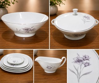 Elegante vajilla vintage Bidasoa de 50 piezas