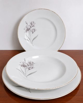 Elegante vajilla vintage Bidasoa de 50 piezas