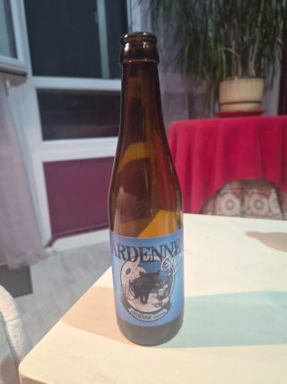 Lotto di 5 bottiglie di birra vuote