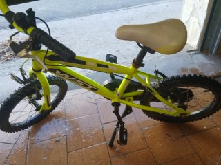 Bicicleta infantil 16 WST