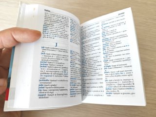 Dizionario Il Mini di Inglese - Zanichelli