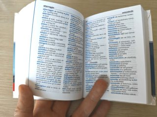 Dizionario Il Mini di Inglese - Zanichelli