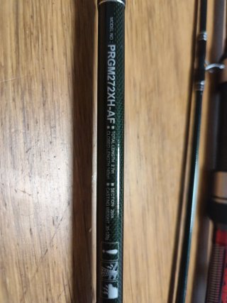Caña de pescar Daiwa con carrete y funda