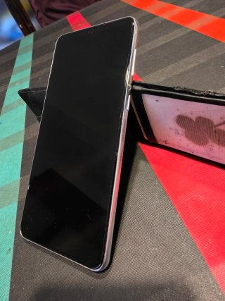 Samsung S21 Argento