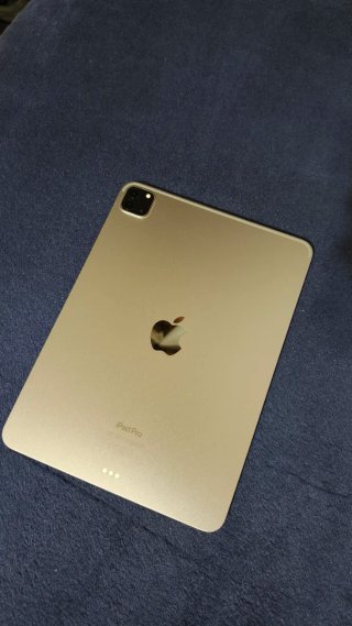 IPAD PRO 11” M2 128 GB Bat 100% Gris Espacial 4th